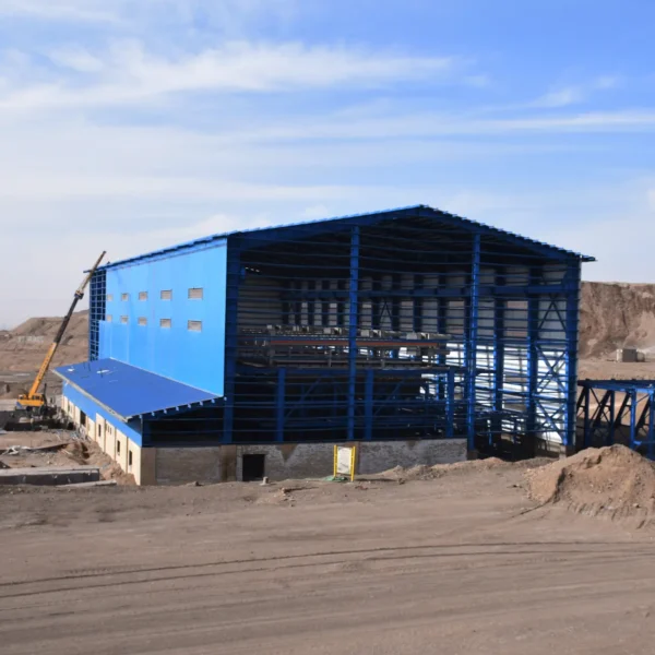 DSC 0019 e1769333234429 600x600